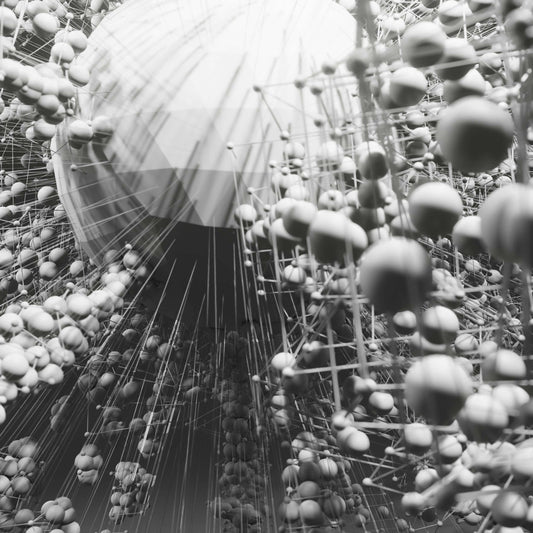 Exploring the Interconnectedness of Nature - An Overview of the Web of Life
