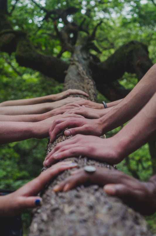 5 Ways to Make the World A Happier Place By Planting Trees