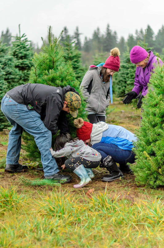 Nature's Gifts: How the Great Outdoors Can Bring Peace and Joy to Your Holidays
