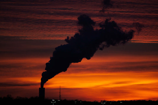 The Indisputable Rise: How Climate Change is Impacting Our Planet and Our Health