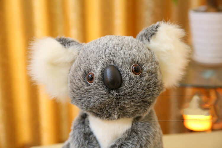 Koala Plush Toy