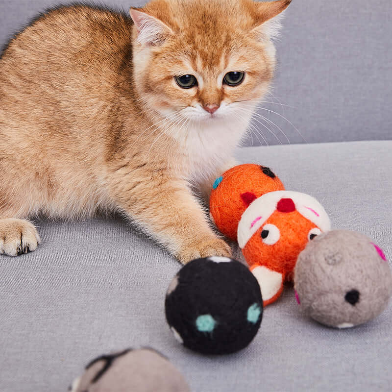 Wooly Interactive Cat Toy With Bell