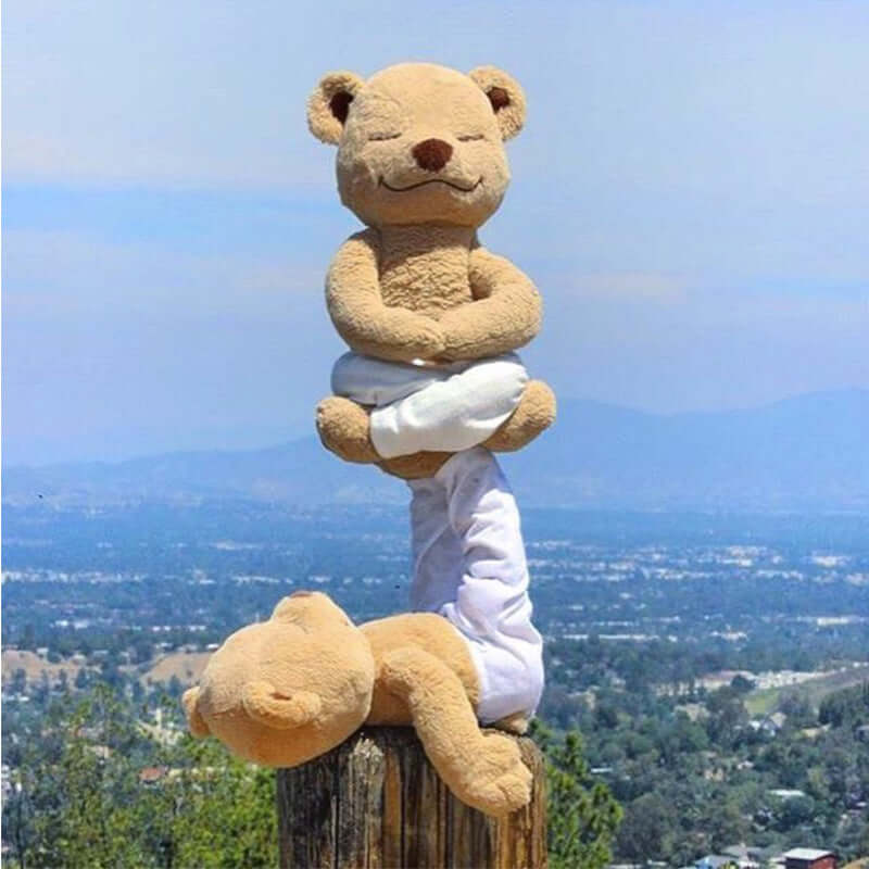 Yoga Bear