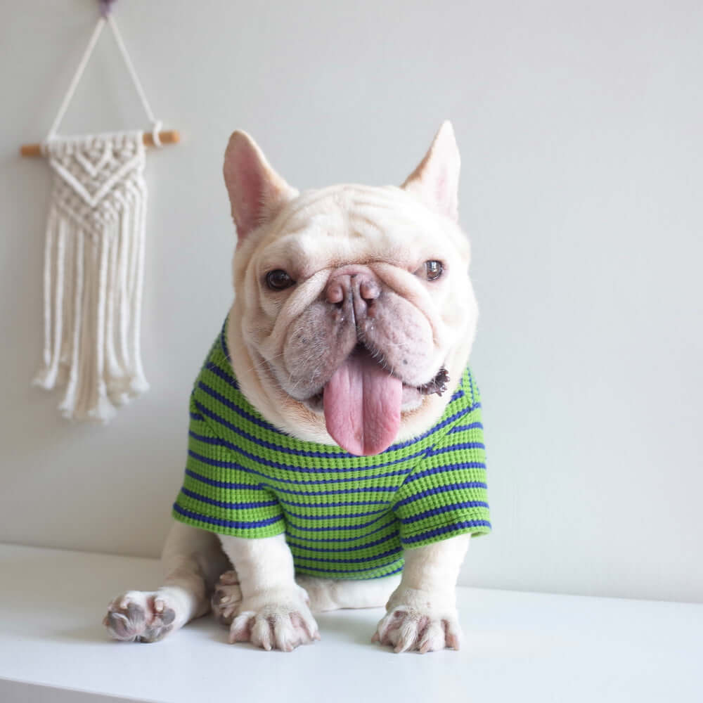 New Pet Clothes Dog Waffle Stretch Stripe Undercoat