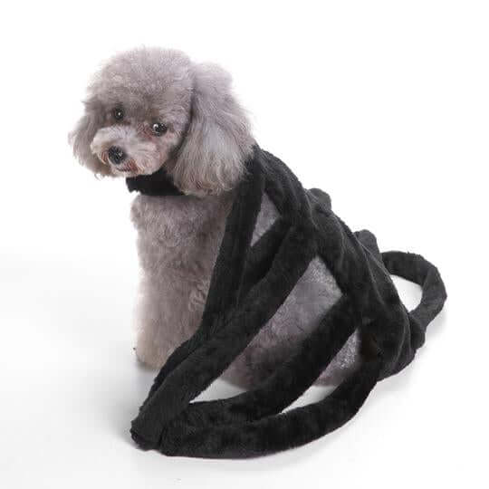 Unique Dog Spider Costume