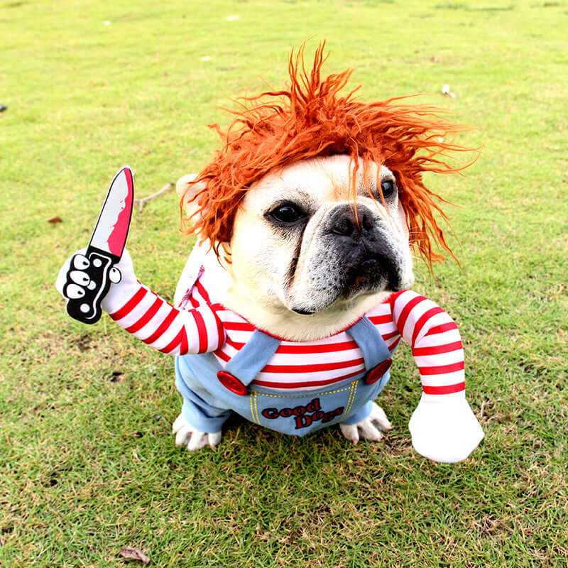 Scary Dog Costume with Knife