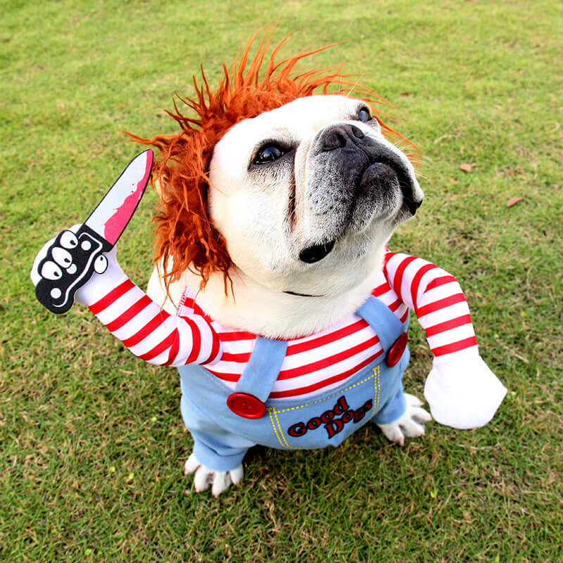 Scary Dog Costume with Knife
