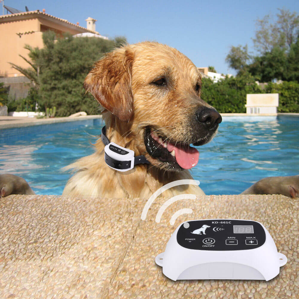 Wireless Electronic Pet Fence System For Up To 3 Dogs
