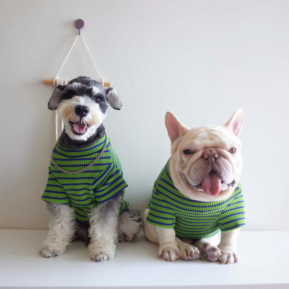 New Pet Clothes Dog Waffle Stretch Stripe Undercoat