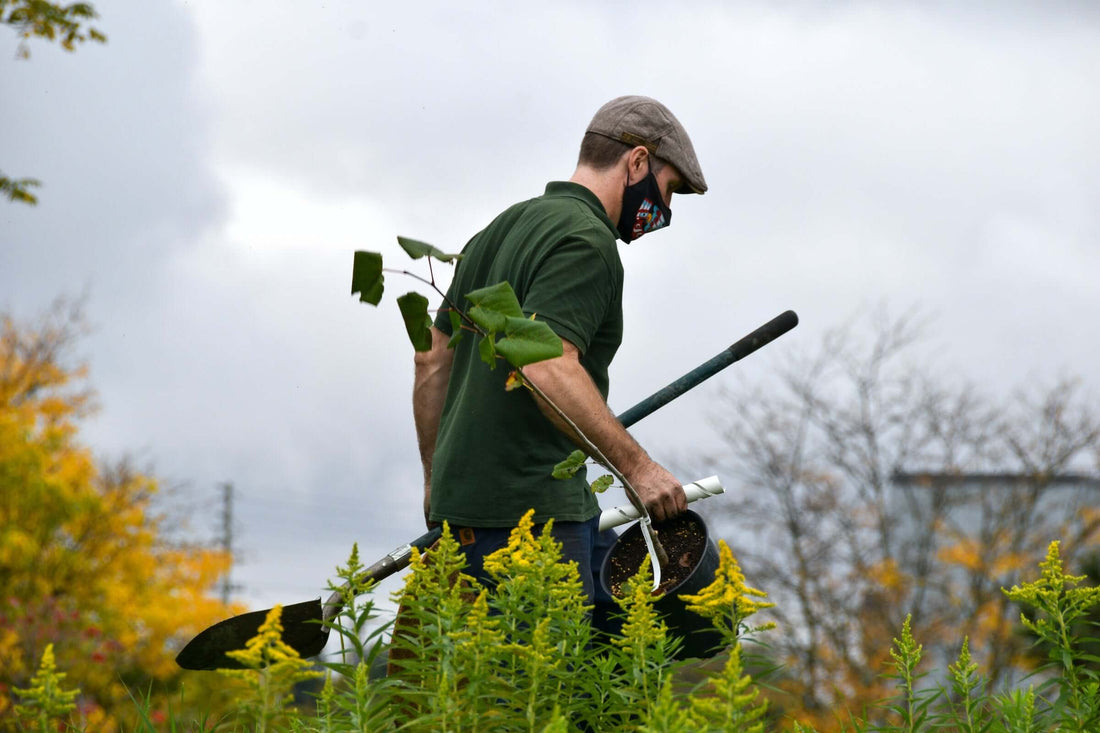 Greening the World: The Vital Role of Tree Planting in Today's World