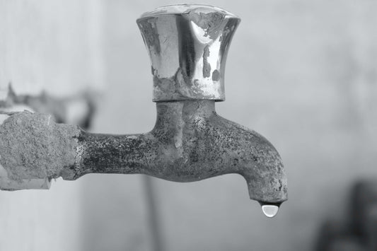 Water: Our Most Valuable Resource