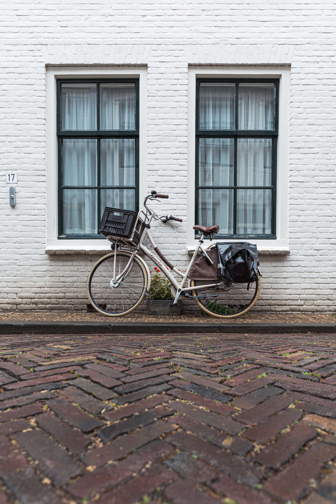 Everyday Changes for a More Sustainable Future