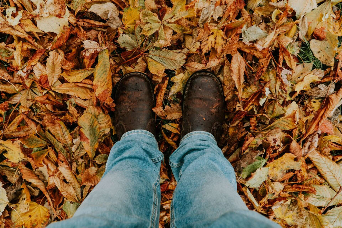 7 Tips to Dispose of Leaves Rather than Burning them.