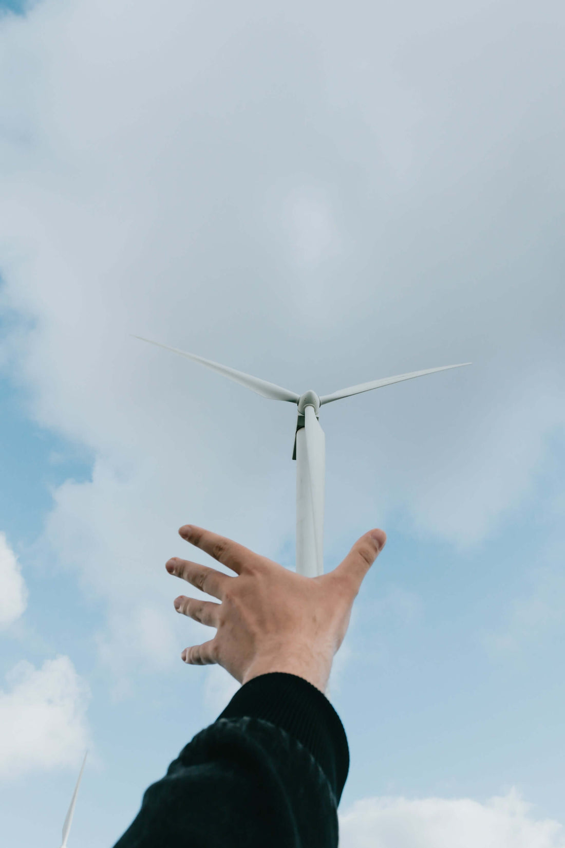 Top 5 Renewable Energy Sources That Will Save The Environment