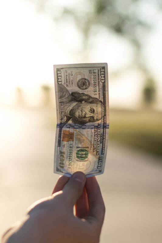 Going Green Pays Off: The Financial Benefits of Sustainability