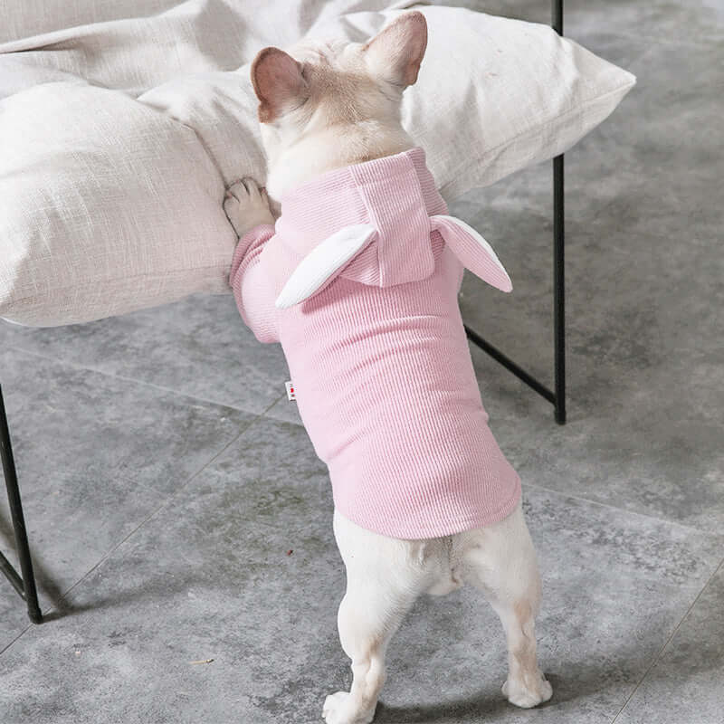 Stay Warm & Cute: Cozy Bunny Sweater for Your Furry Friend