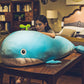 Whale Floor & Bed Plush