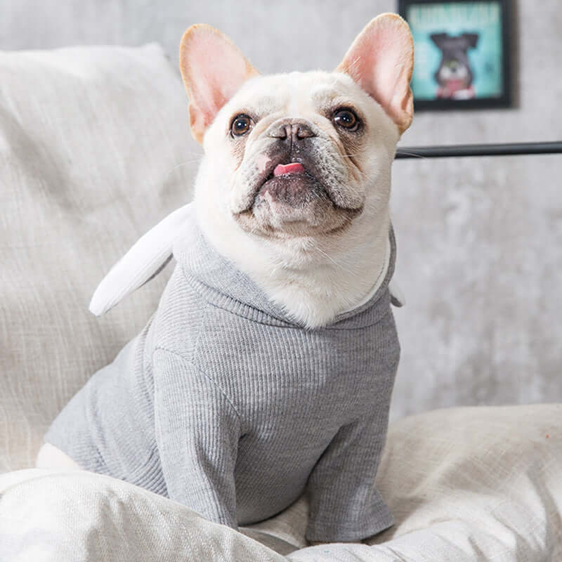 Stay Warm & Cute: Cozy Bunny Sweater for Your Furry Friend