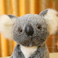 Koala Plush Toy
