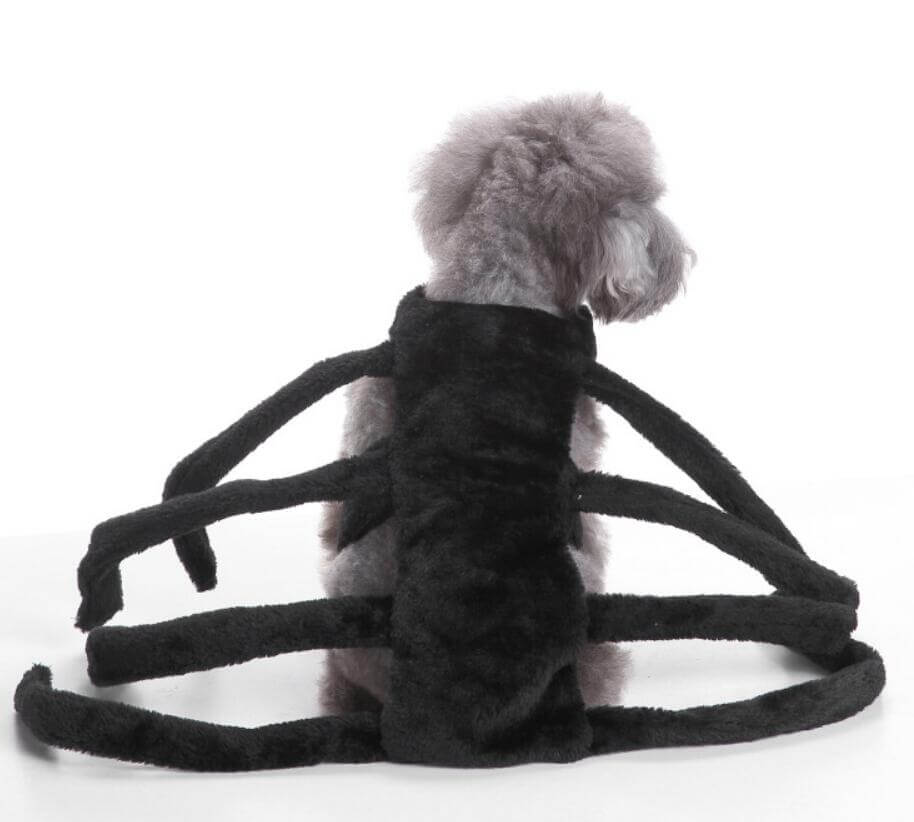 Unique Dog Spider Costume