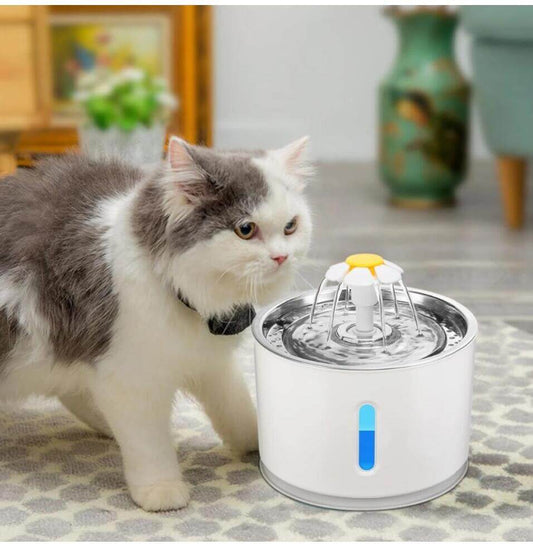 LED & USB Automatic Pet Water Fountain