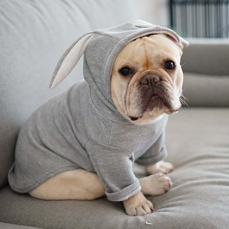 Stay Warm & Cute: Cozy Bunny Sweater for Your Furry Friend