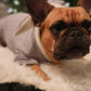 Stay Warm & Cute: Cozy Bunny Sweater for Your Furry Friend