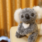 Koala Plush Toy