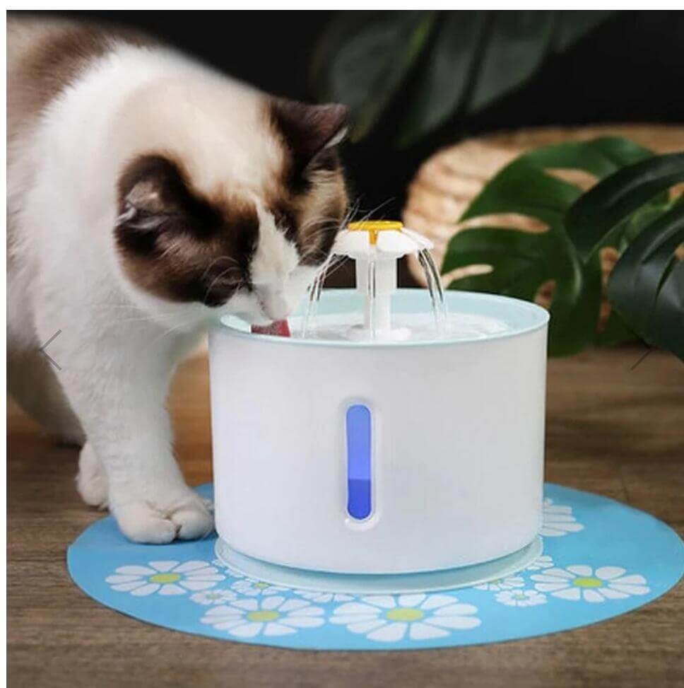 LED & USB Automatic Pet Water Fountain