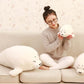 Seal pillow plush toy