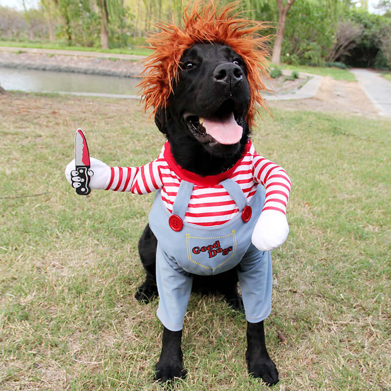 Scary Dog Costume with Knife