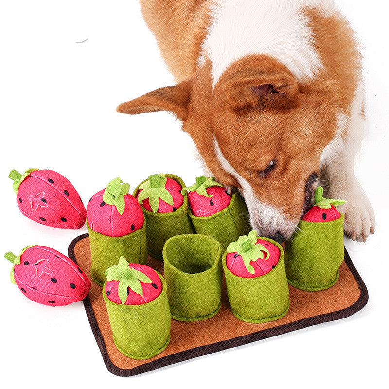 Pulling Out Strawberries Is Good For Intelligence And Smell