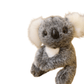 Koala Plush Toy