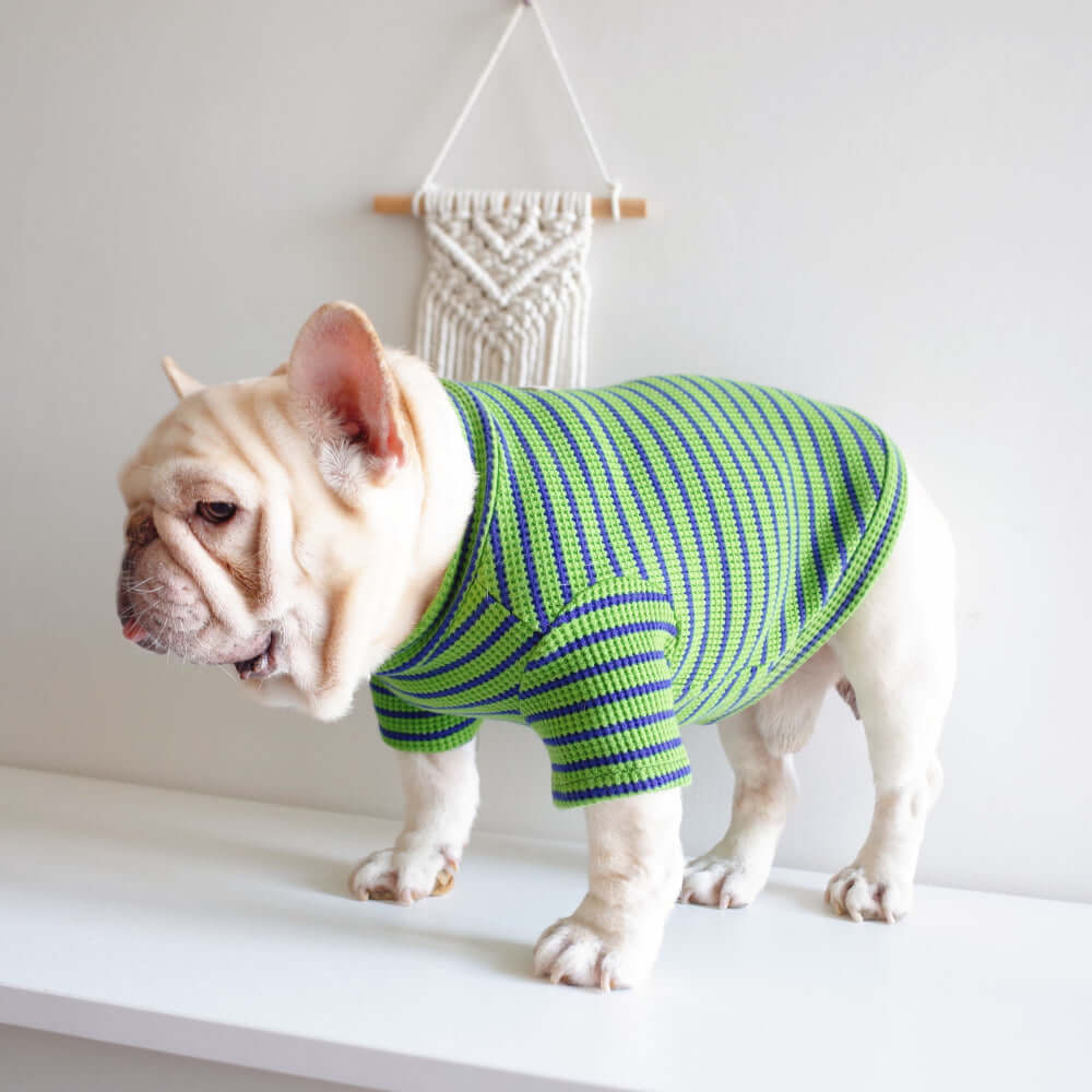 New Pet Clothes Dog Waffle Stretch Stripe Undercoat