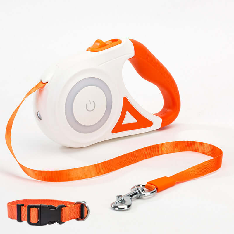Light Up the Night: The Ultimate Retractable Dog Leash